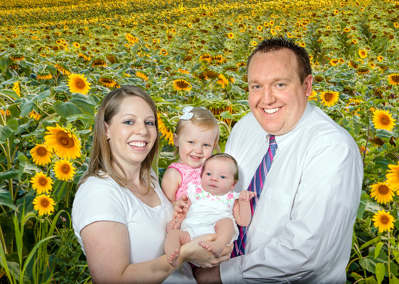 Sunflower field family-1-2